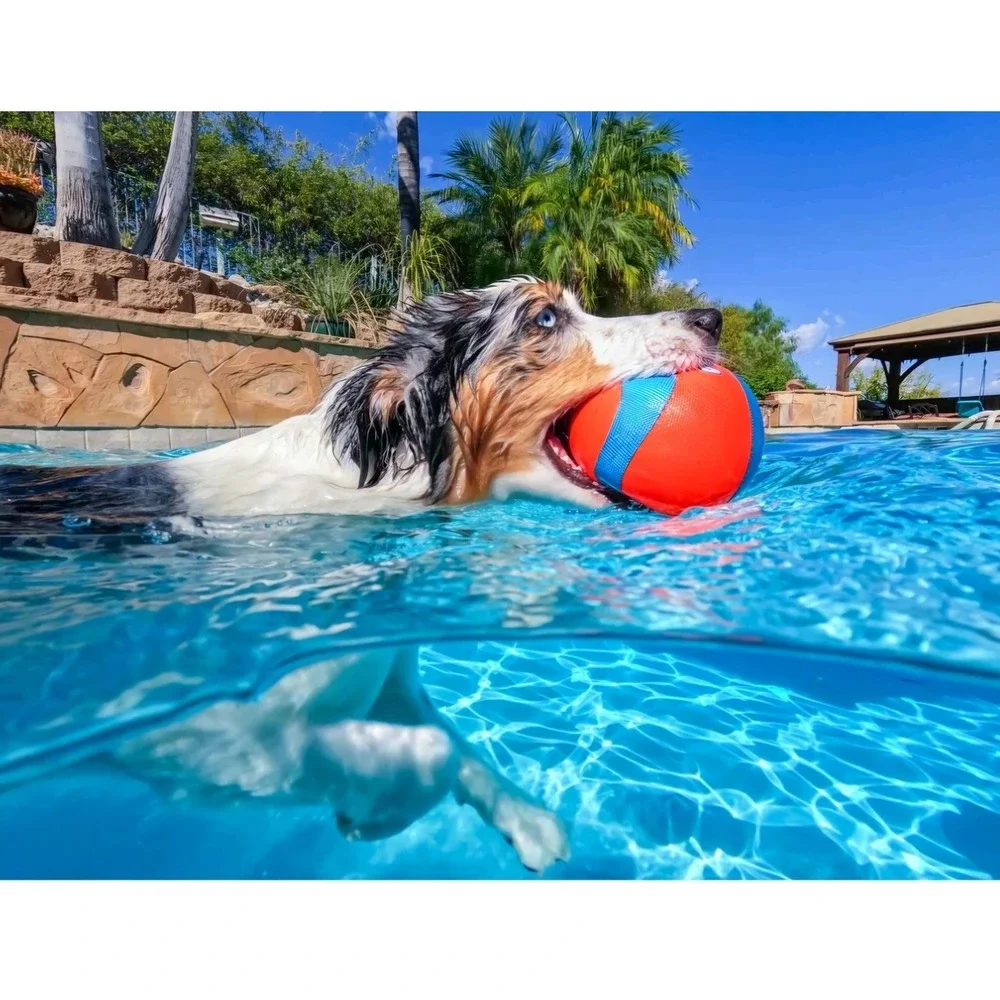 NEW Chuckit! Mega Amphibious Fetch Dog Ball Toy Orange Blue Floating Water Toy